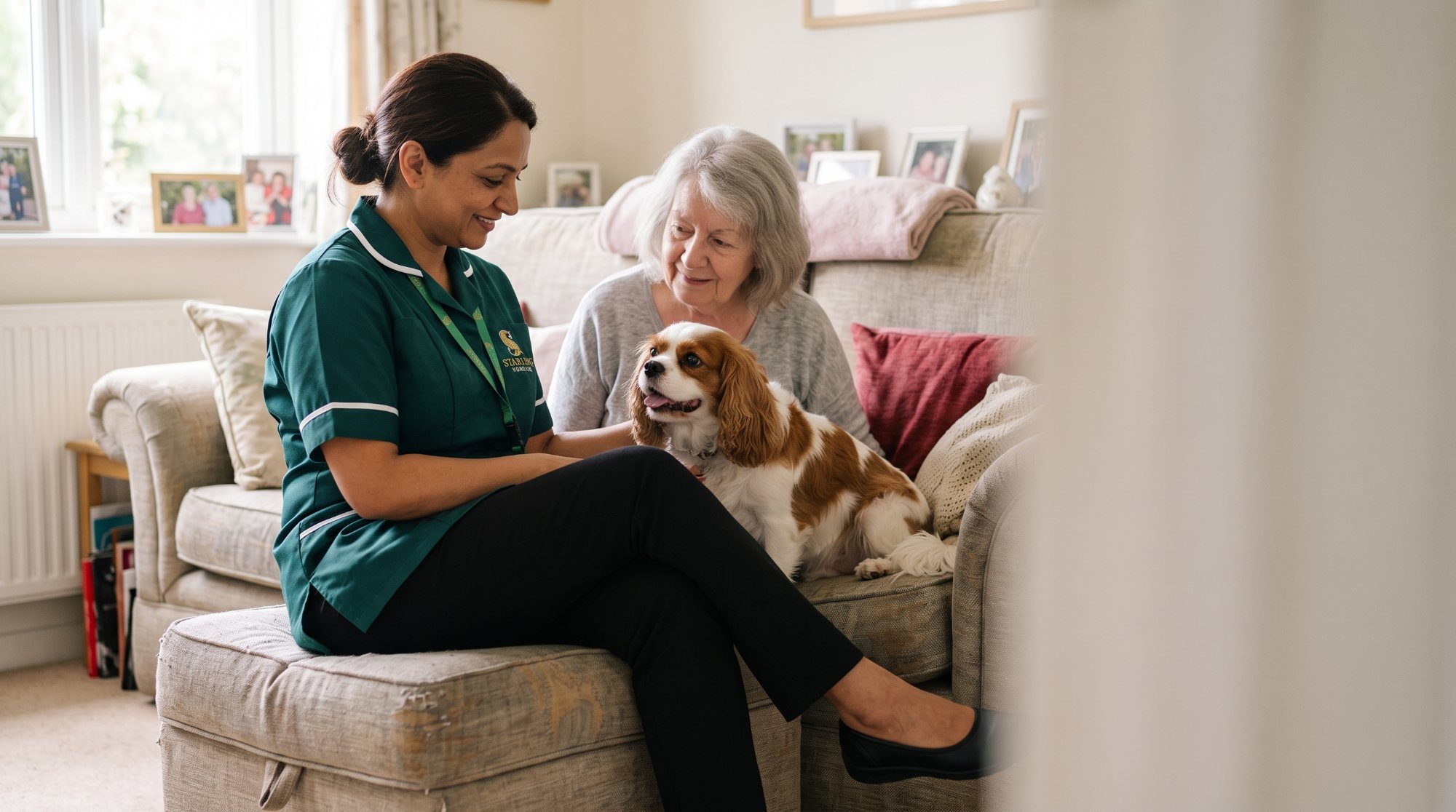 Pet care support at home from Starling Homecare in St Albans and Harpenden